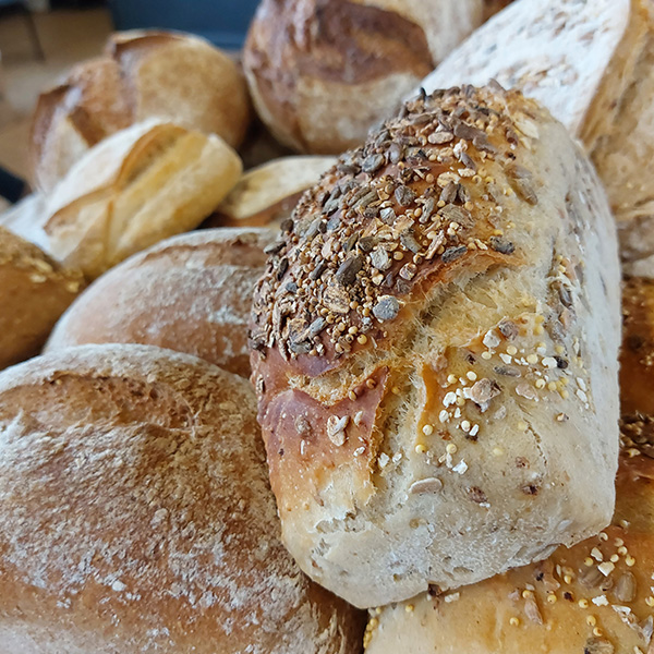 Fresh Dough